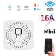 SMATRUL Tuya 10/16A Mini Smart Wifi DIY Universal Switch for 2